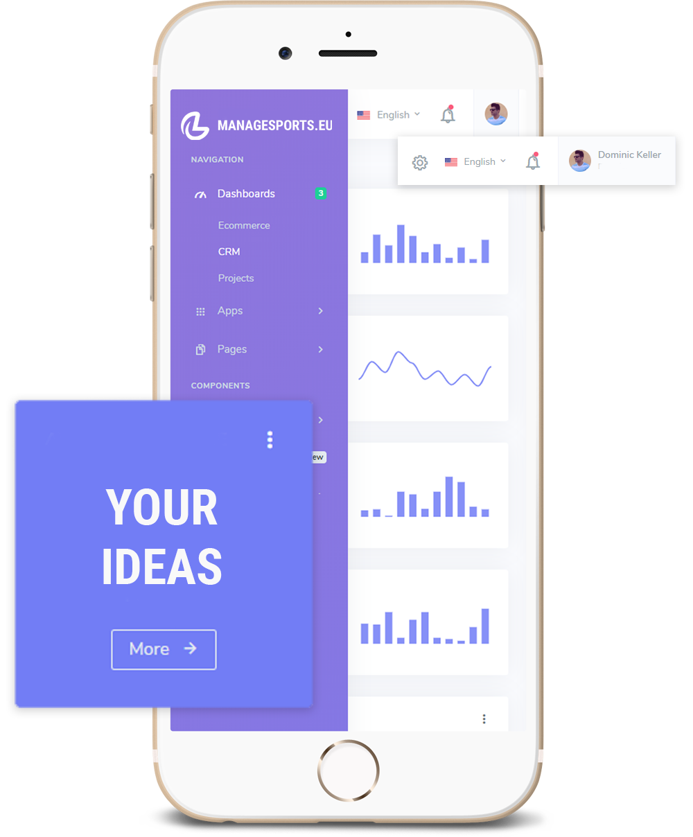 ManageSports mobile interface
